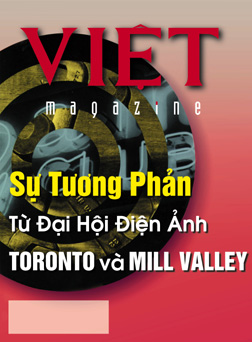519 Cover