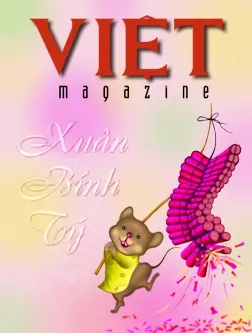 503 Cover