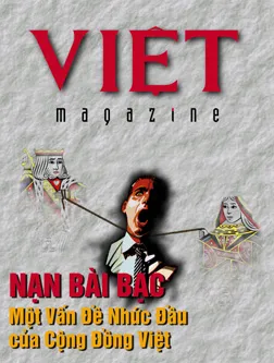 504 Cover