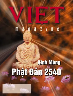 510 Cover