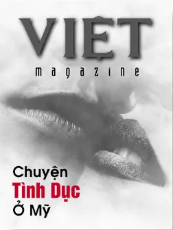 513 Cover