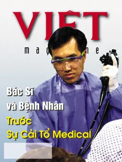 517 Cover